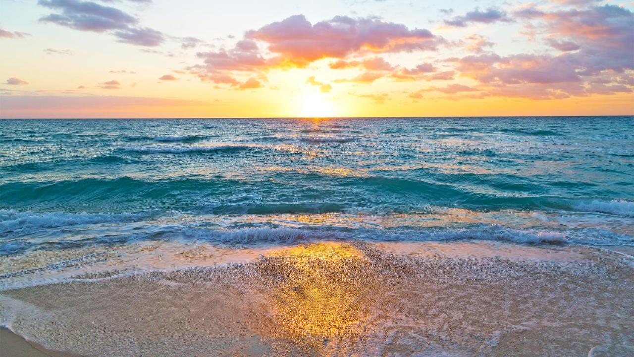 Budget Friendly Condo Within Walking Distance To The Beach! Gulf Shores Exterior foto